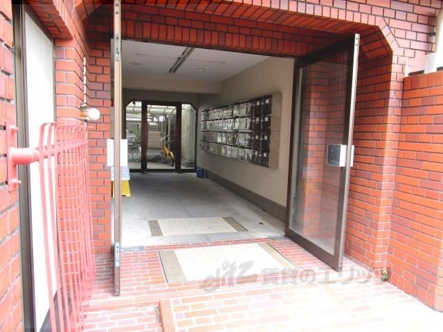 ドミ大田