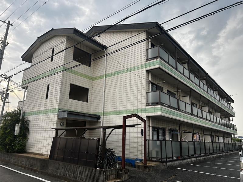 ロフティー津市場