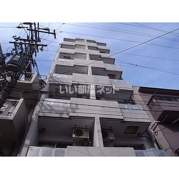 レディース徳川