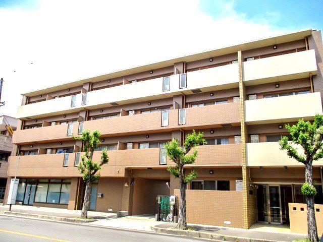 シェリール木村3