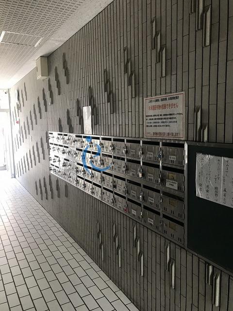 メゾンカタケ