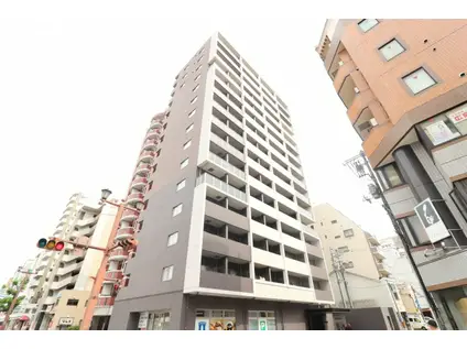 ラフィーネ本川(1LDK/7階)の間取り写真