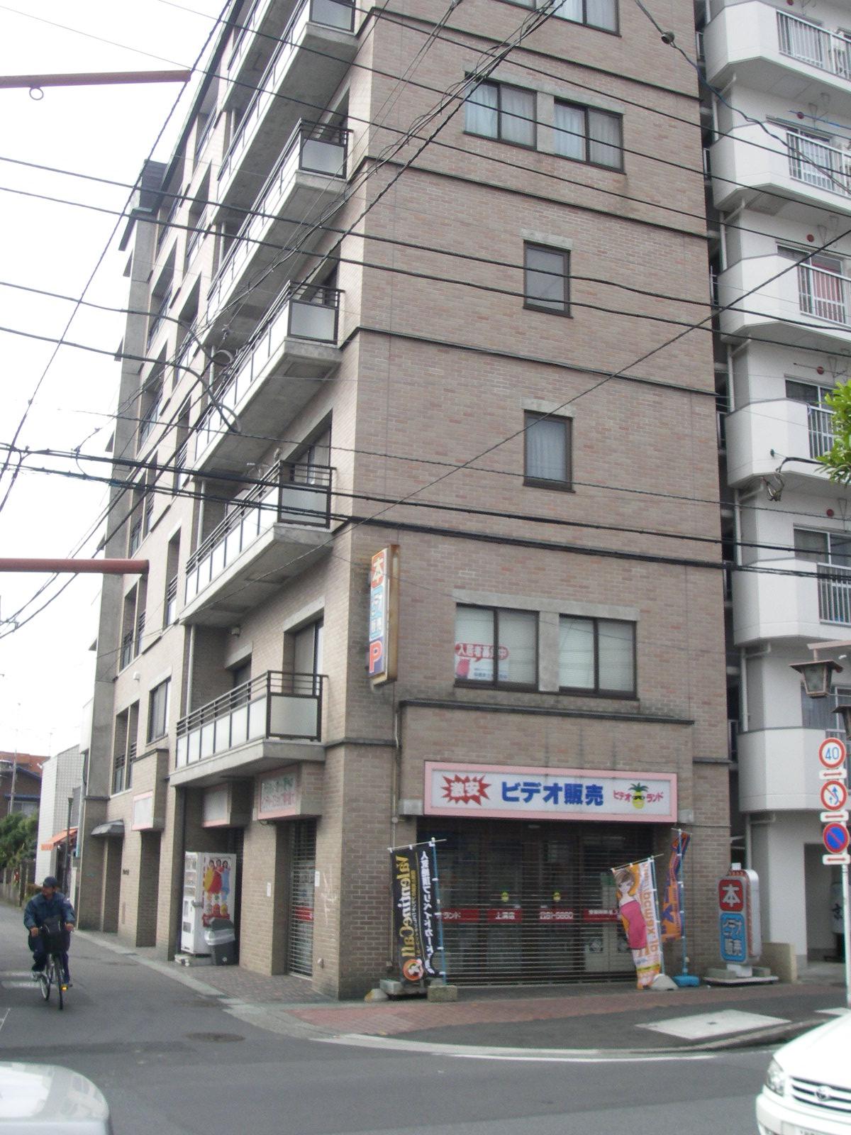ブリック上溝(1DK/4階)