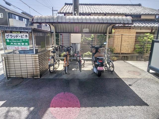 グラッドピネ