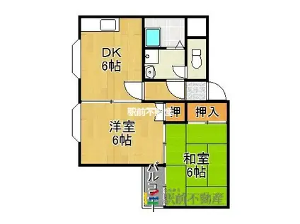 ピアザ5(1LDK/1階)の間取り写真