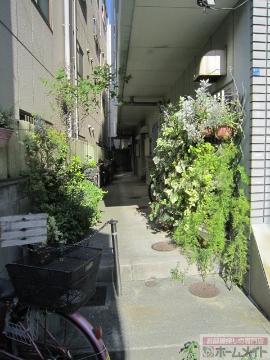 ハイツ桃山