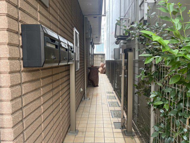 LIGHT SUDA