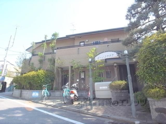 ピーノコウラク