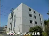 シャイニング