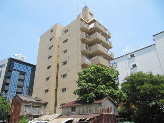 千早ハイリス