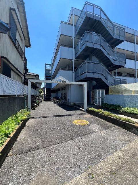 シャイン関根
