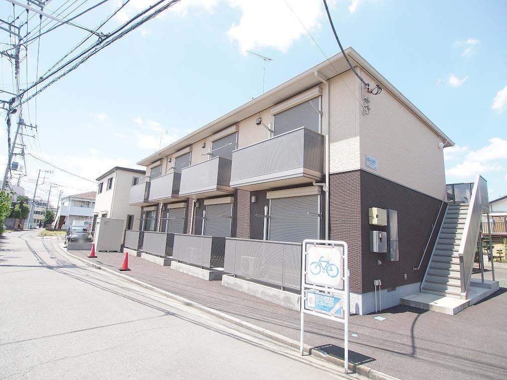 サンフラワー