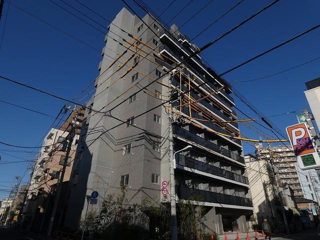 SYFORME MINOWA