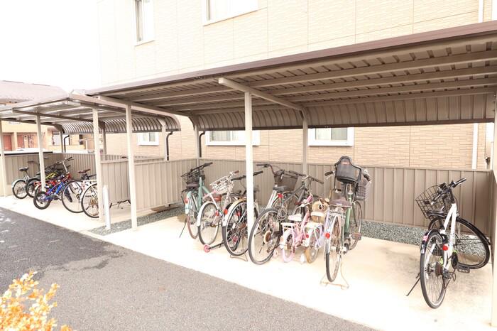 カンパーレ S