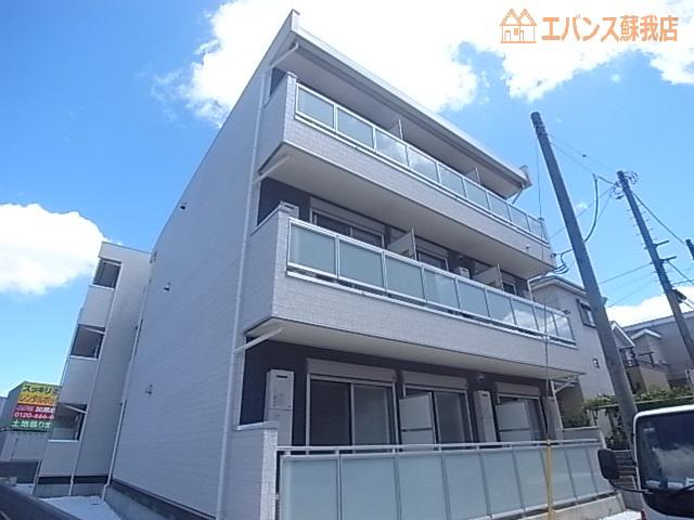 リブリ・サンフラワー14