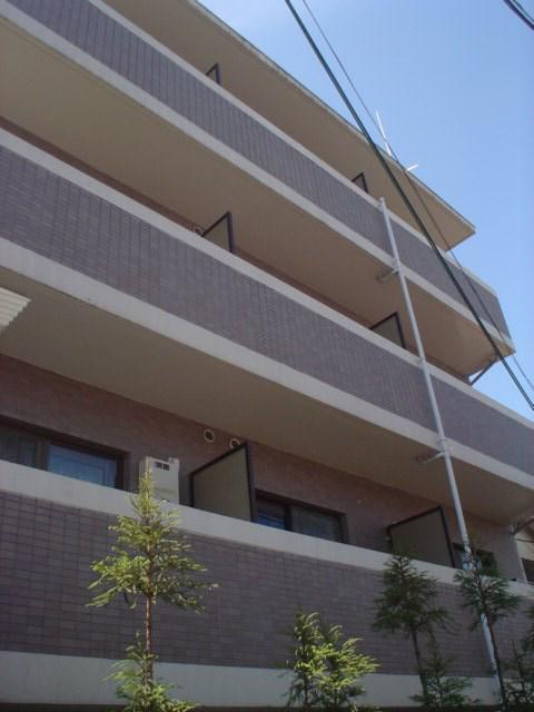 グレーシャス23