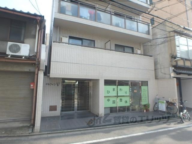 ドルフィン5