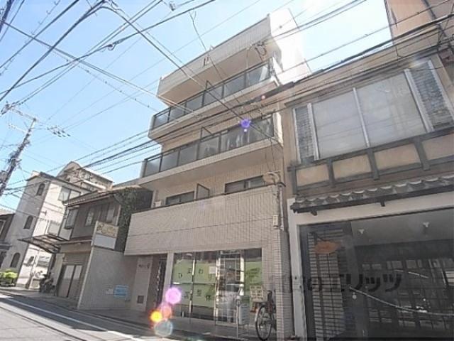 ドルフィン5