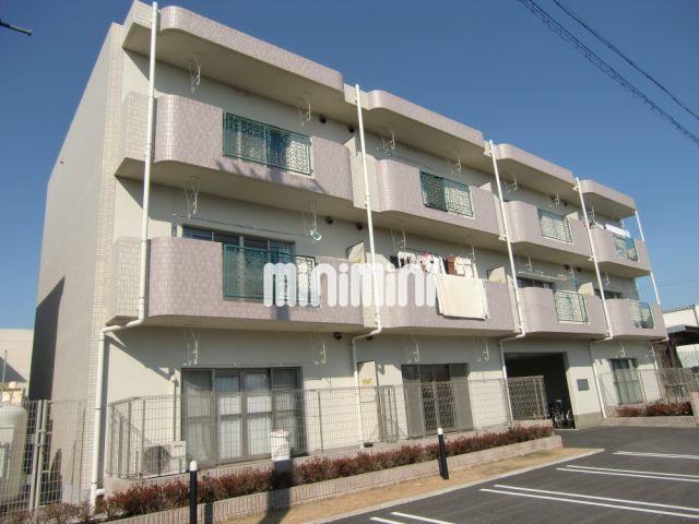 ユーミープランドール