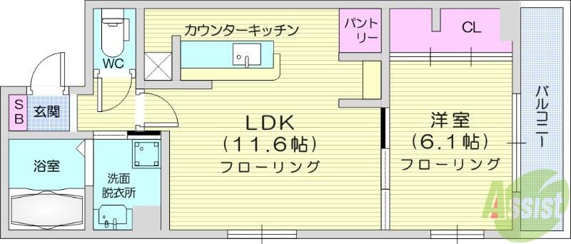 DーROOM すいせん通(1LDK/1階)の間取り写真