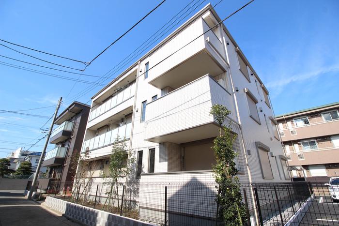 SOLANA桜街道