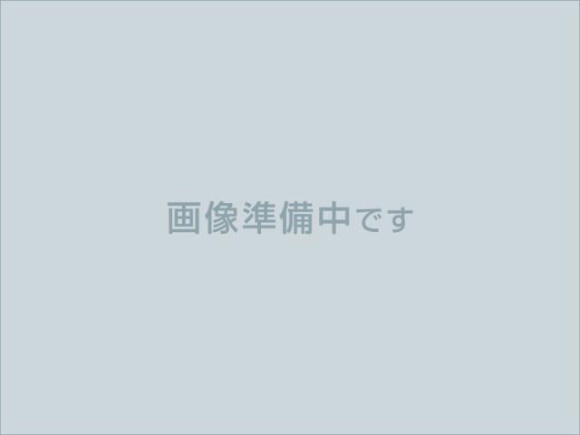 アパートメント東成II