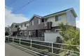 フェリス