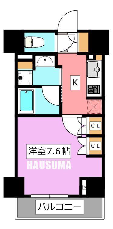 LA DOUCEUR巣鴨(1K/10階)の間取り写真