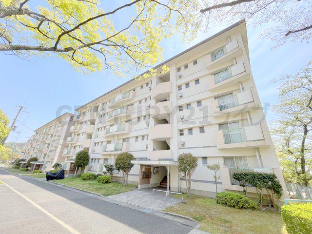 中山五月台16号棟(3DK/2階)