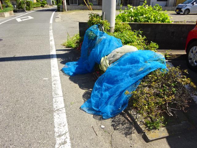 オークスC
