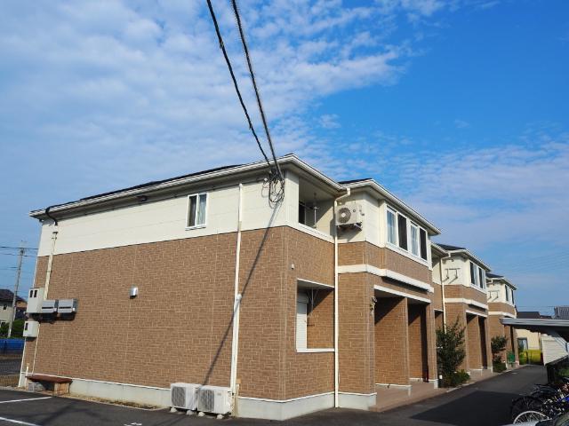 フリージア