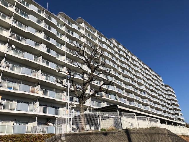 泉北星和台コーポラス
