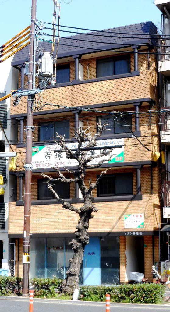 メゾン帝塚山