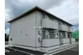 パームツリー