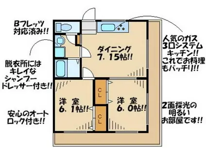 サン・フレグランス(2DK/4階)の間取り写真