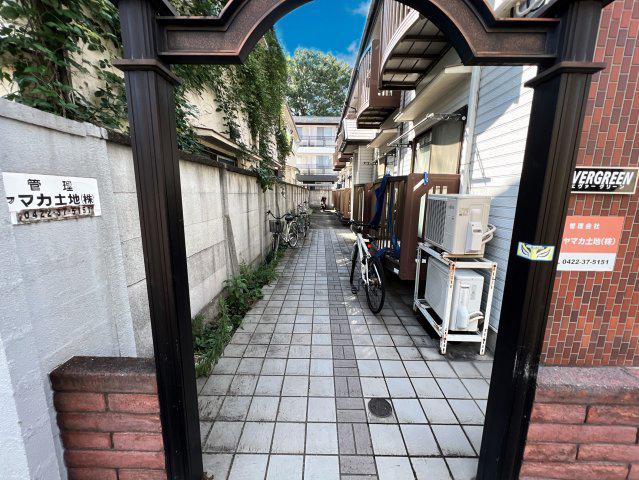 エヴァーグリーン