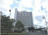 グレーシィ栗東ビステージ