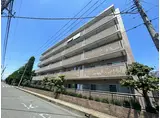 カーネリアン・東越谷