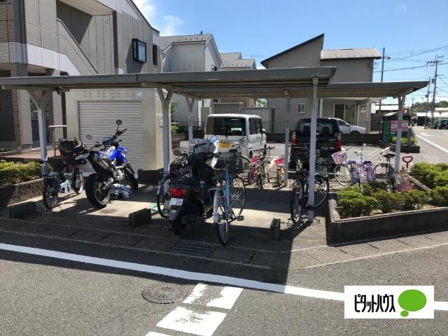 APIANT華