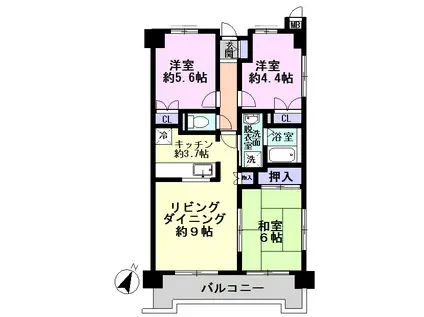 ハイネス北柏(3LDK/10階)の間取り写真