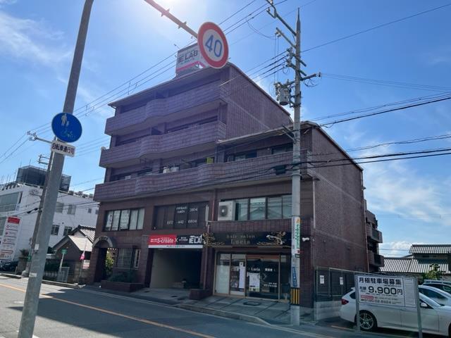 ホワイトオーク