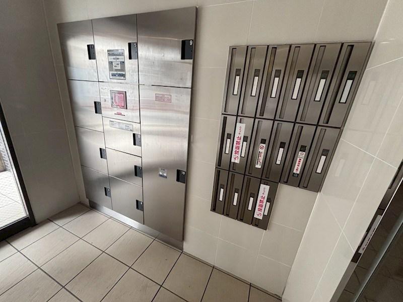 REGALO PLUS