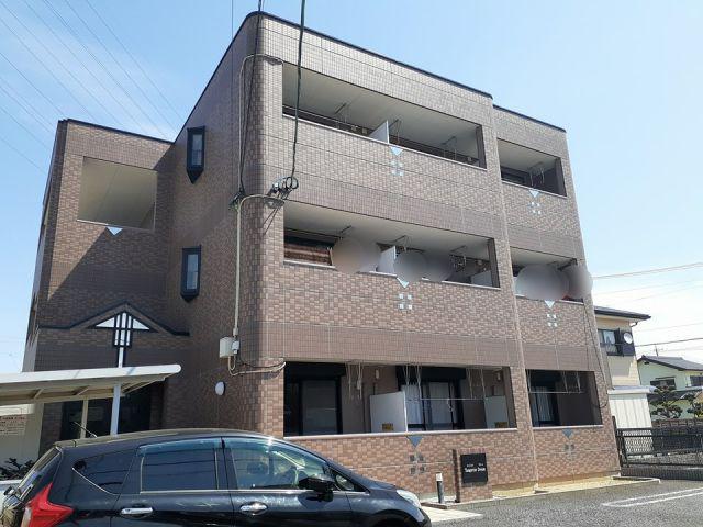 タンジェリンドリーム