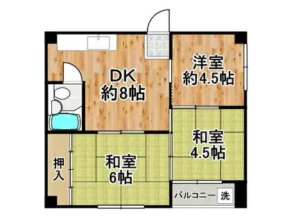 大正三井マンション(3DK/4階)の間取り写真