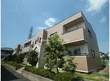 アルカディア