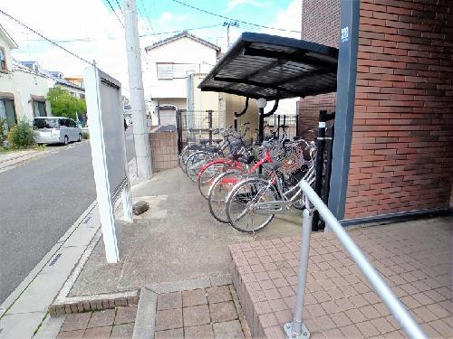 レオネクストコスモスII