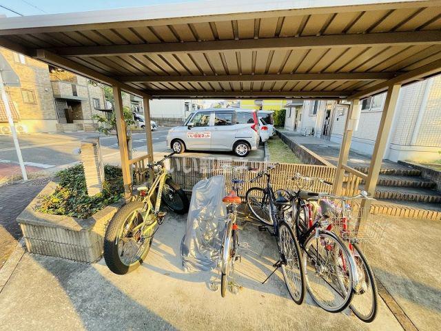 クレスト大針
