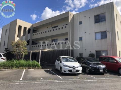 スターターマンション緑町