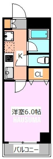 RAYHAUS駒込(1K/5階)の間取り写真
