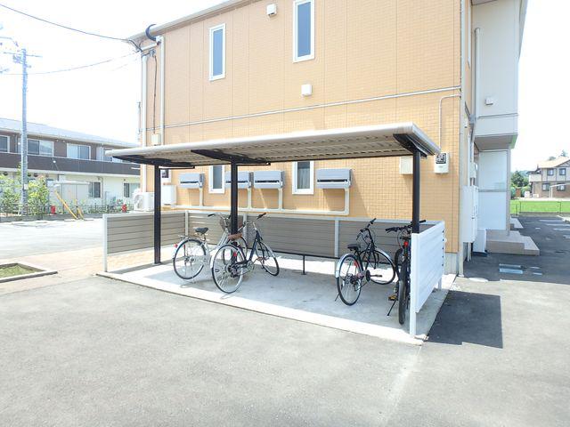 カーネーションB